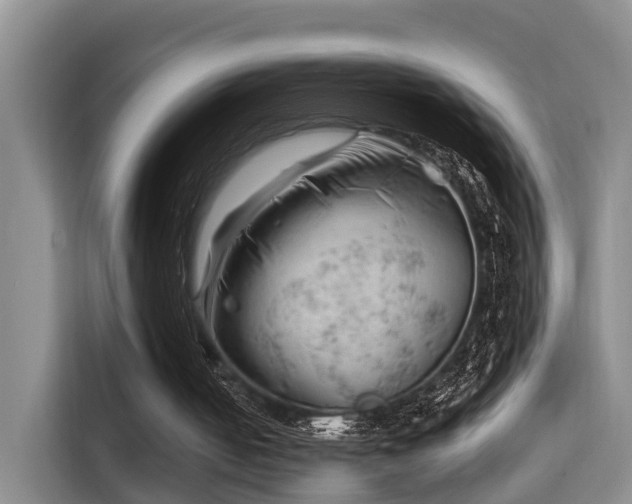 X0000115680050200911191102