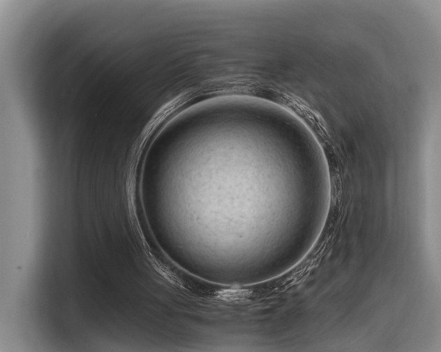 X0000115680051200911191102