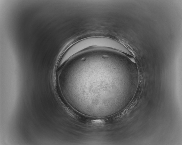 X0000115680053200911191102