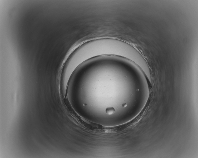 X0000115680056200911191102