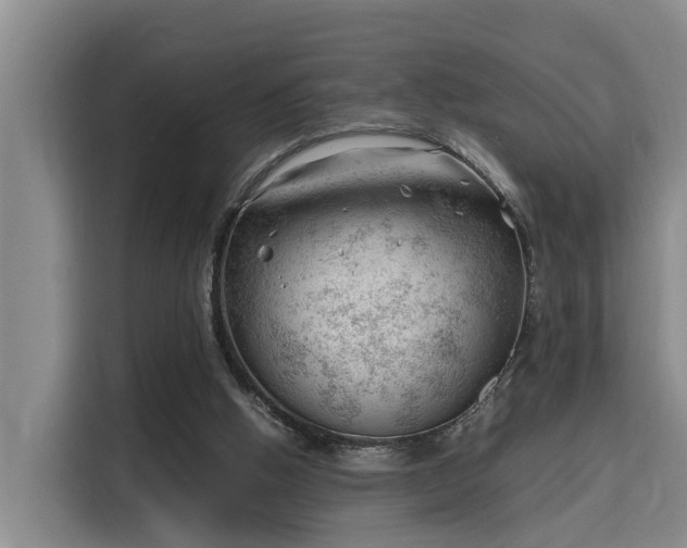 X0000115680058200911191102