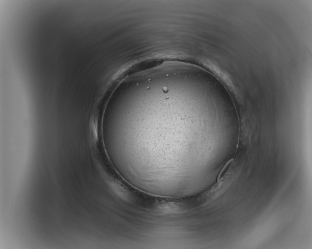 X0000115680062200911191102