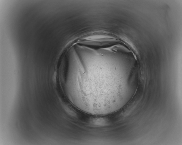 X0000115680063200911191102