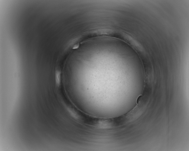 X0000115680070200911191102