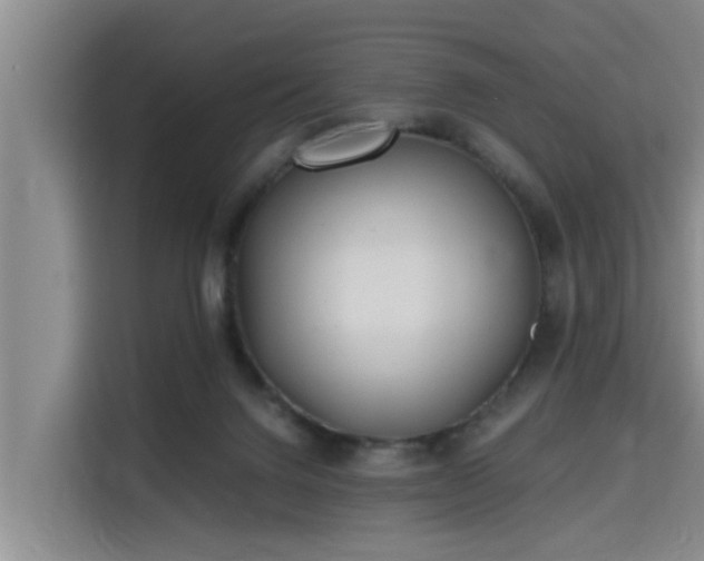 X0000115680072200911191102