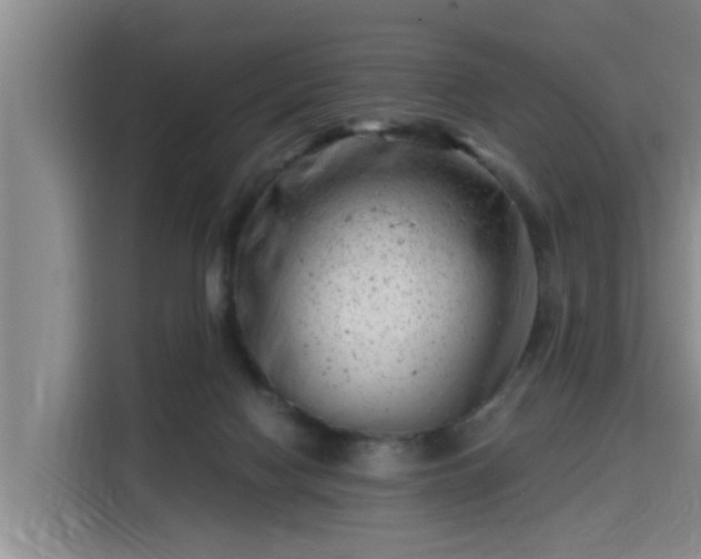 X0000115680074200911191102