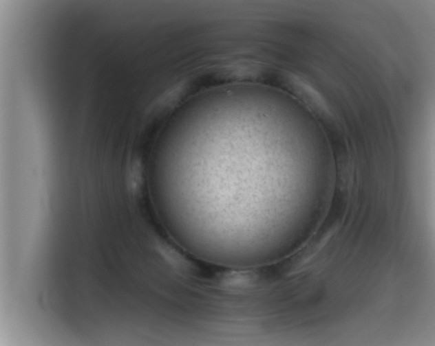 X0000115680077200911191102