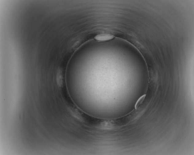 X0000115680080200911191102