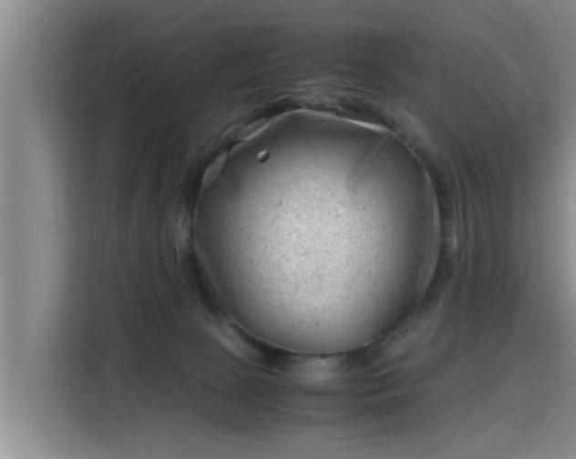 X0000115680081200911191102