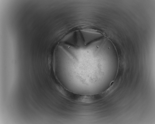 X0000115680082200911191102