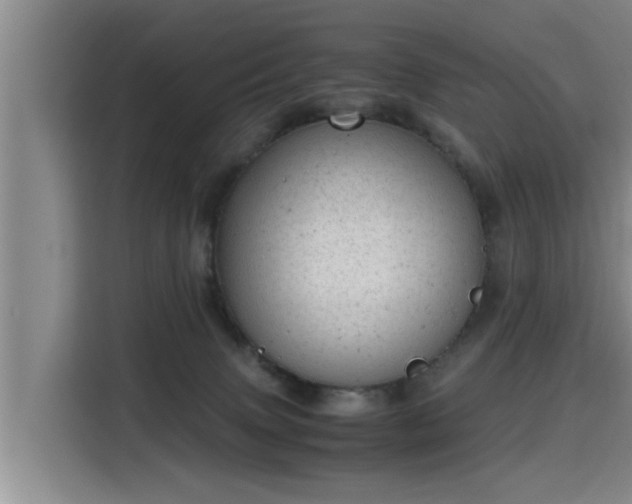 X0000115680083200911191102