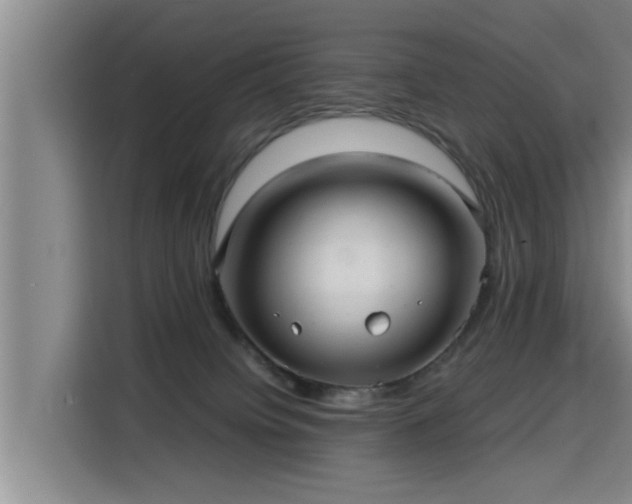 X0000115680084200911191102