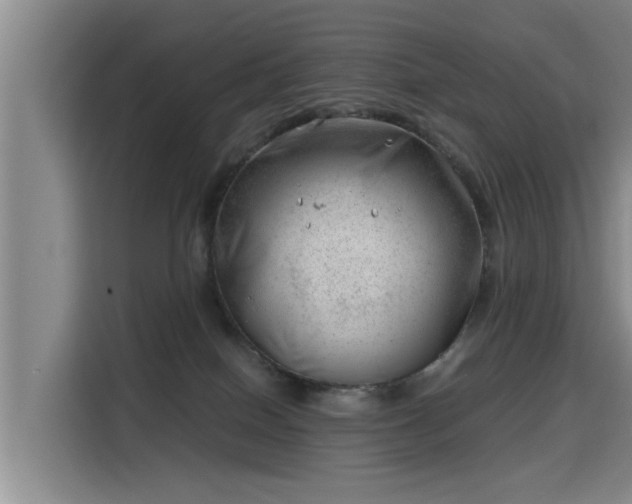 X0000115680086200911191102