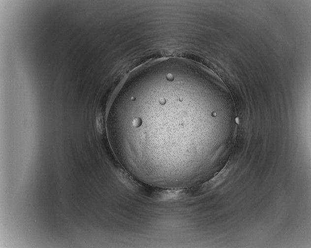 X0000115680090200911191102