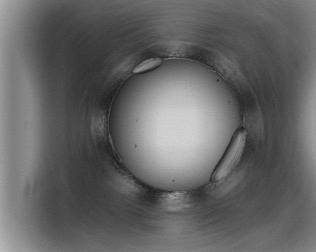 X0000115680092200911191102