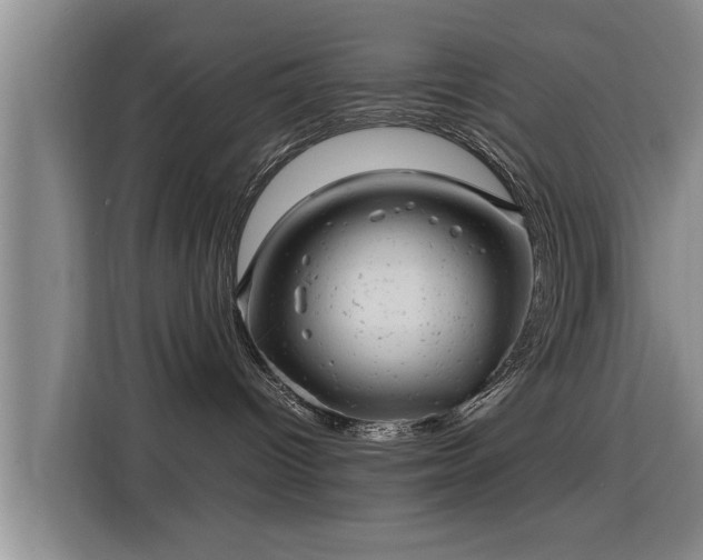 X0000115680096200911191102