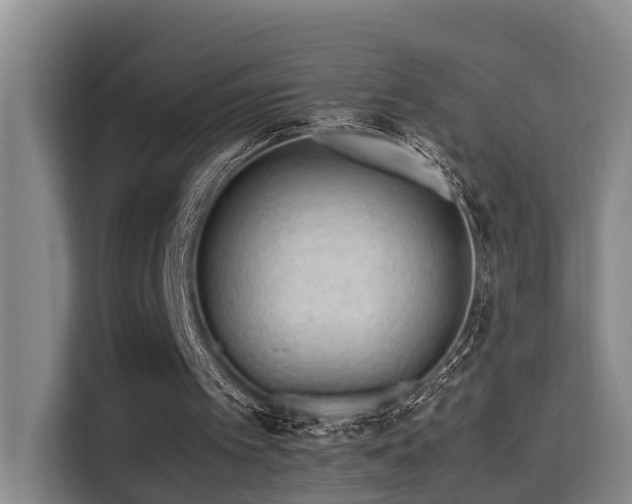 X0000115680097200911191102