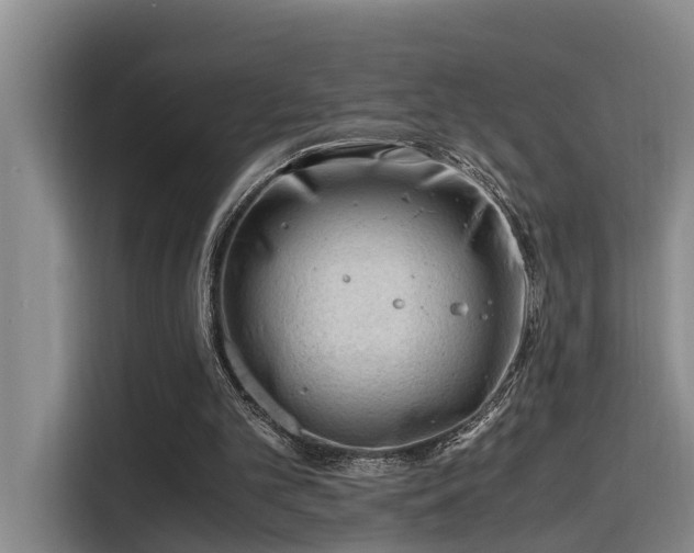 X0000115680101200911191102