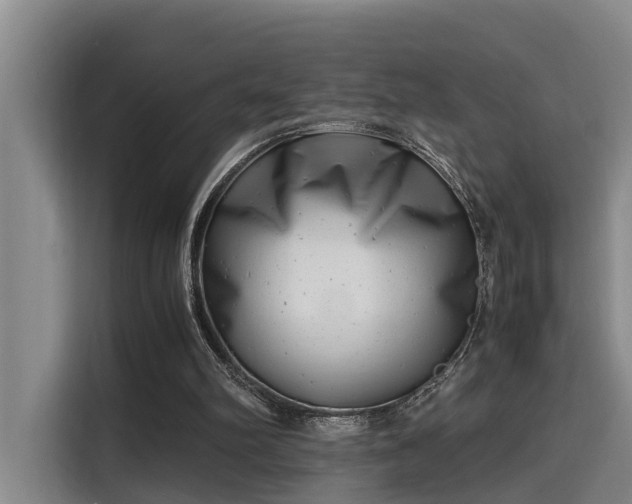 X0000115680102200911191102