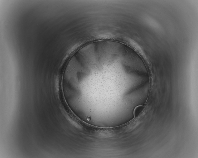 X0000115680106200911191102