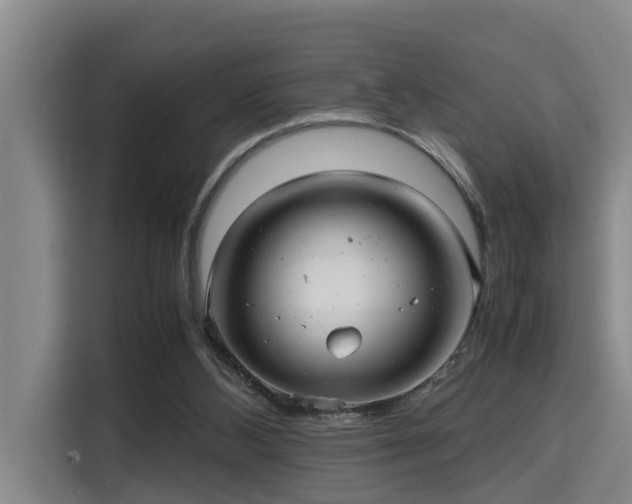 X0000115680108200911191102