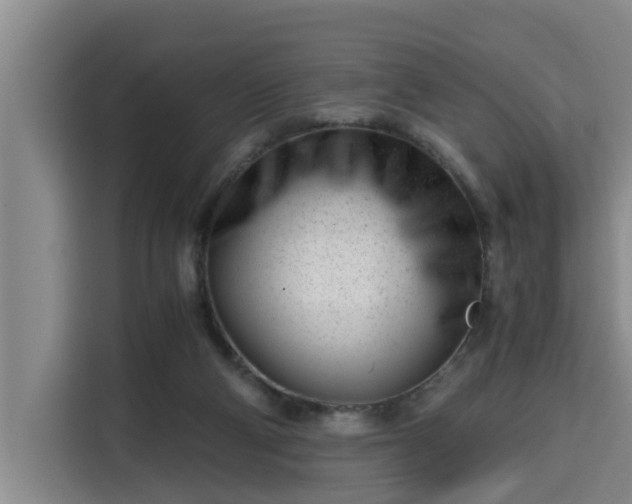 X0000115680114200911191101