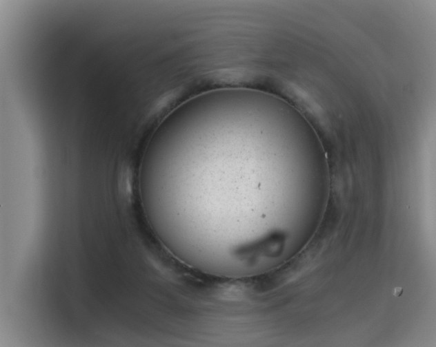 X0000115680115200911191101