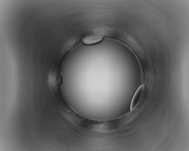 X0000115680116200911191101