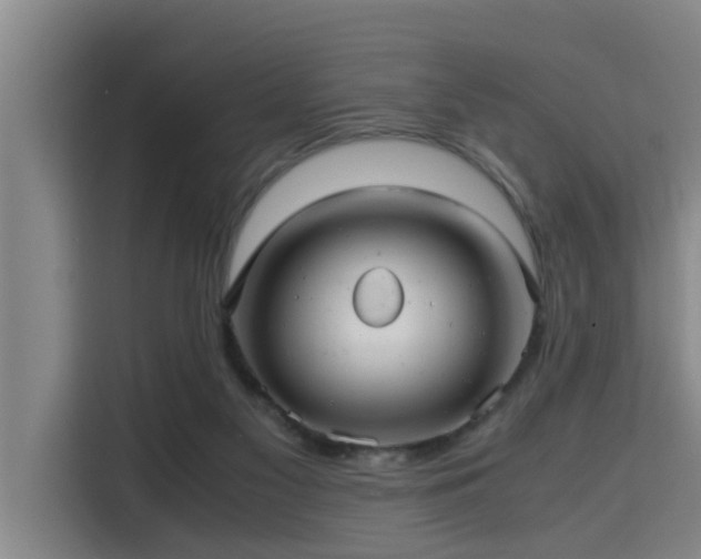 X0000115680117200911191101