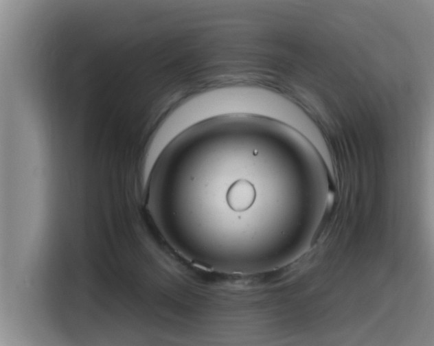 X0000115680120200911191101