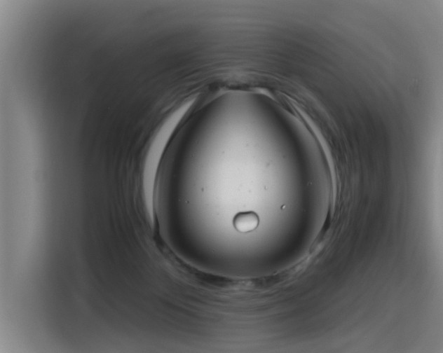 X0000115680124200911191101