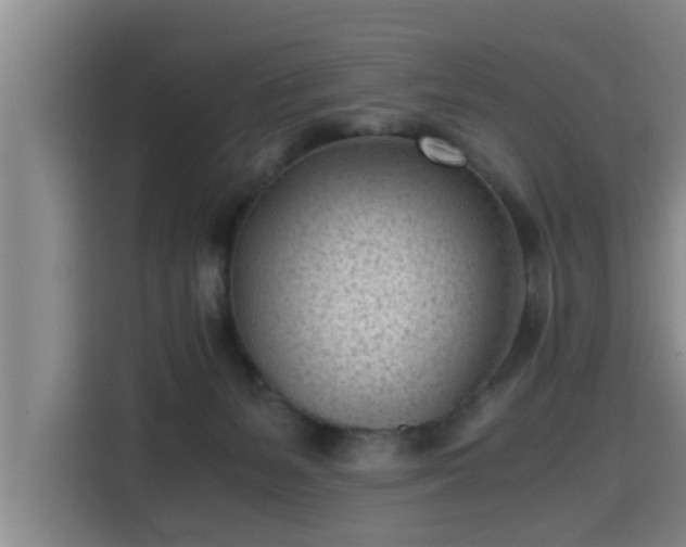 X0000115680127200911191101