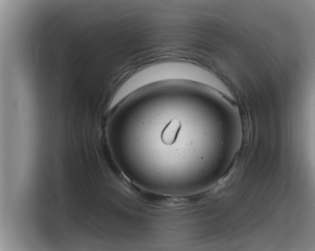 X0000115680128200911191101