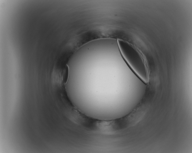 X0000115680129200911191101