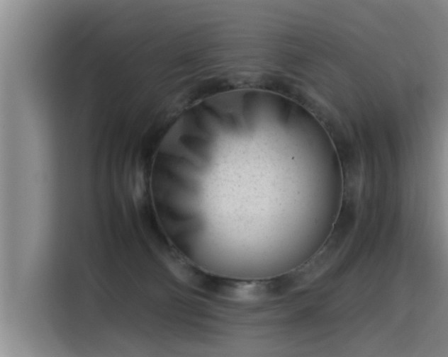 X0000115680130200911191101