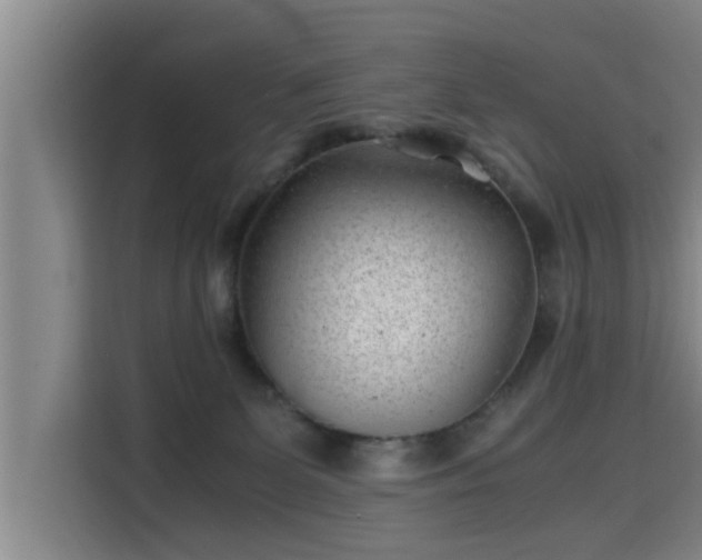 X0000115680131200911191101