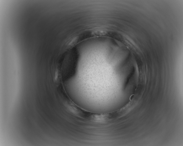 X0000115680134200911191101