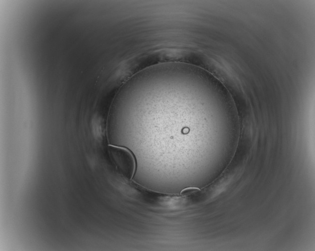 X0000115680135200911191101