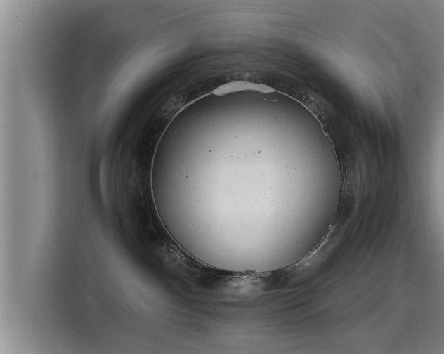 X0000115680140200911191101