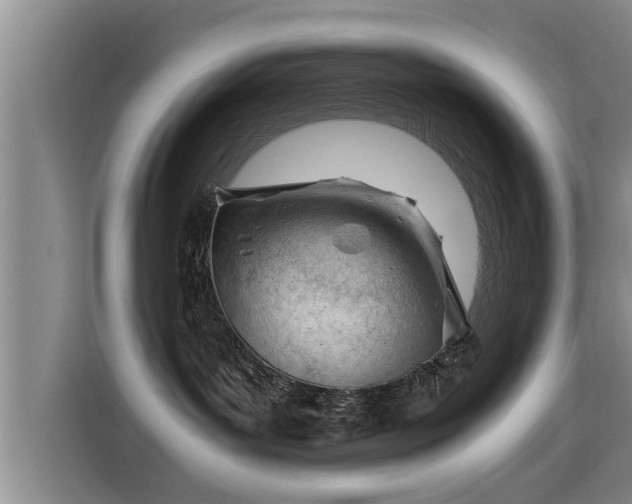 X0000115680143200911191101