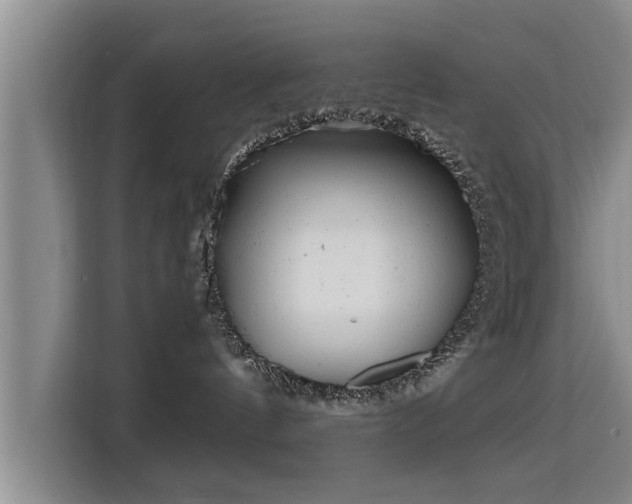 X0000115680144200911191101