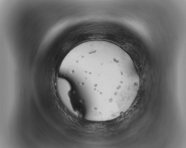 X0000115680146200911191100