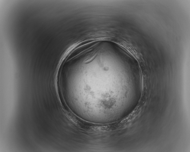 X0000115680147200911191101