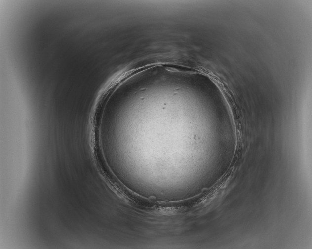 X0000115680149200911191101