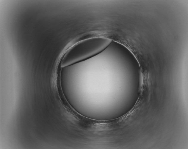 X0000115680150200911191101