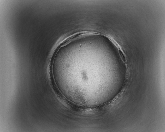 X0000115680151200911191101