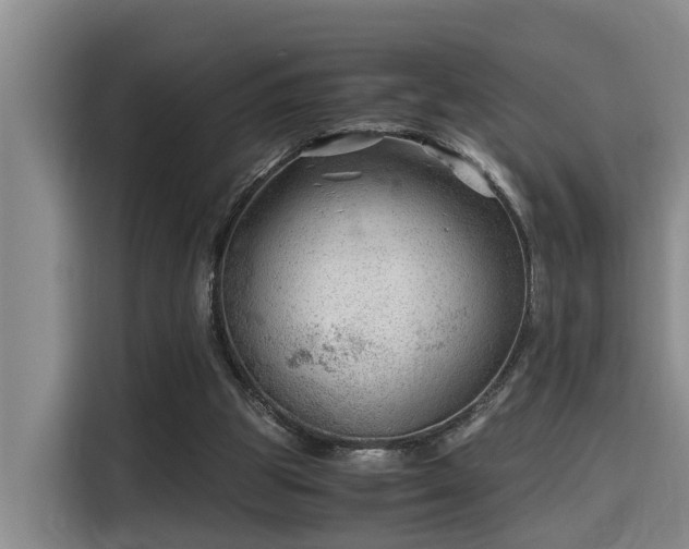 X0000115680153200911191101