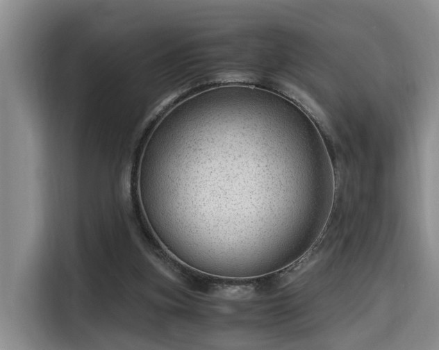 X0000115680155200911191101