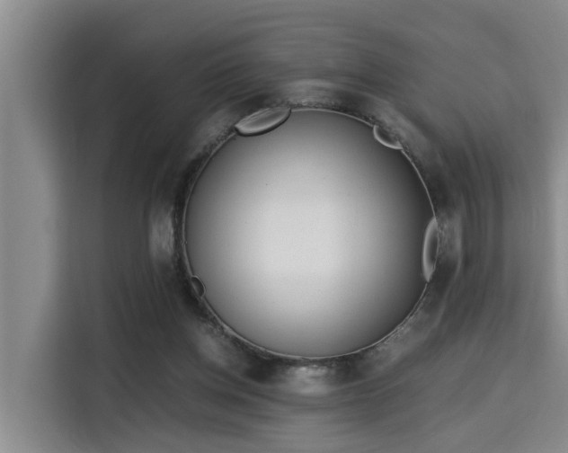 X0000115680158200911191101