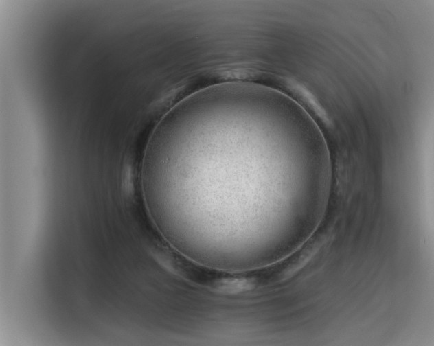 X0000115680161200911191101